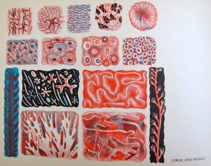 A World of Pattern by Gwen White, Page Detail